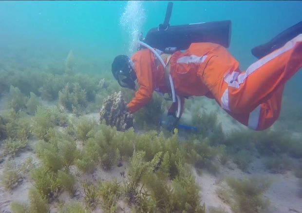 万利官网(中国集团)唯一官方网站