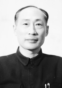 5D6EEF88EE17A55D65DBE3C3995_DFDD744A_2B64