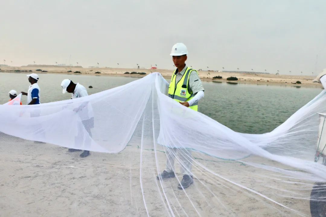 万利官网(中国集团)唯一官方网站