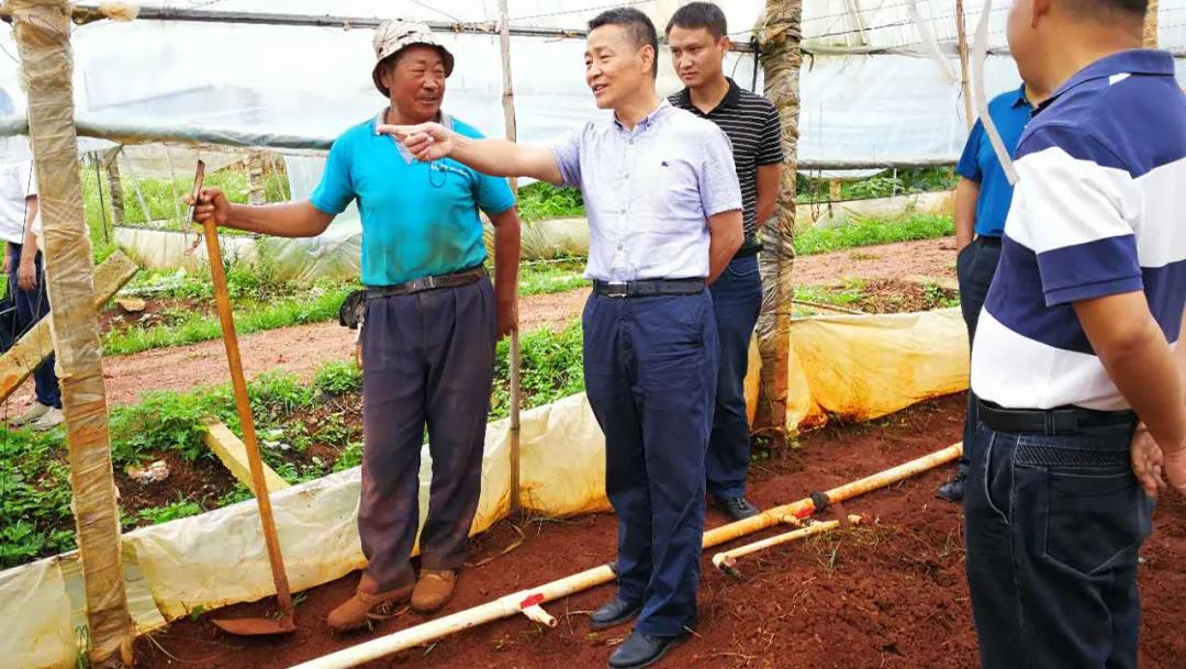 万利官网(中国集团)唯一官方网站