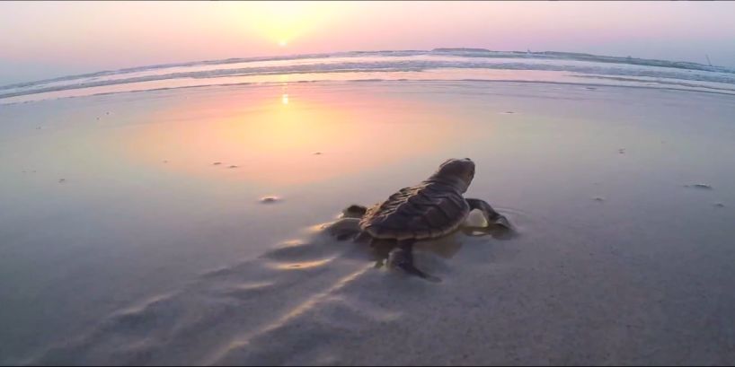 万利官网(中国集团)唯一官方网站