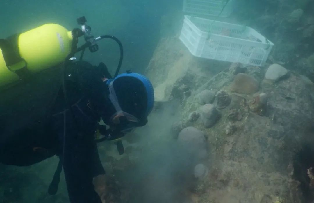 万利官网(中国集团)唯一官方网站