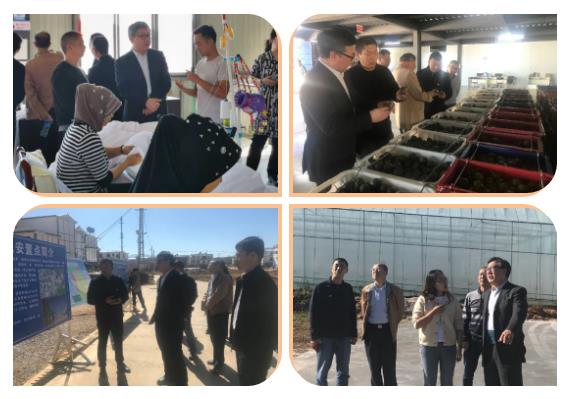 万利官网(中国集团)唯一官方网站