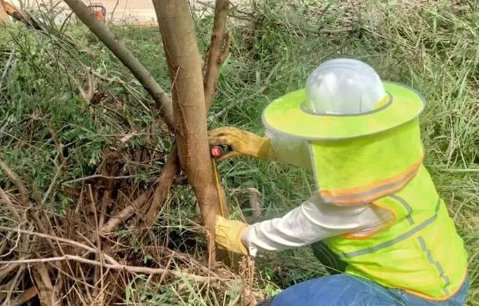 万利官网(中国集团)唯一官方网站