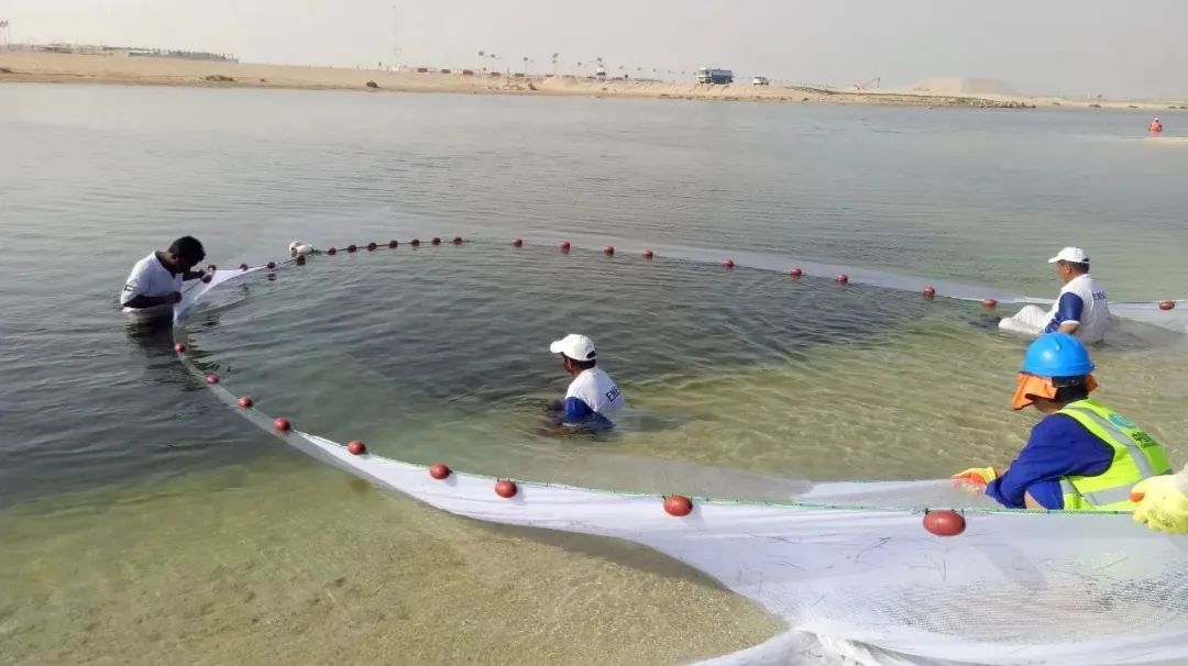 万利官网(中国集团)唯一官方网站