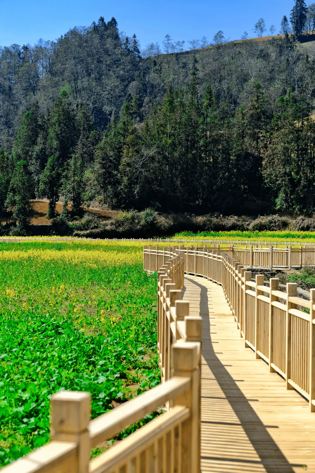 万利官网(中国集团)唯一官方网站