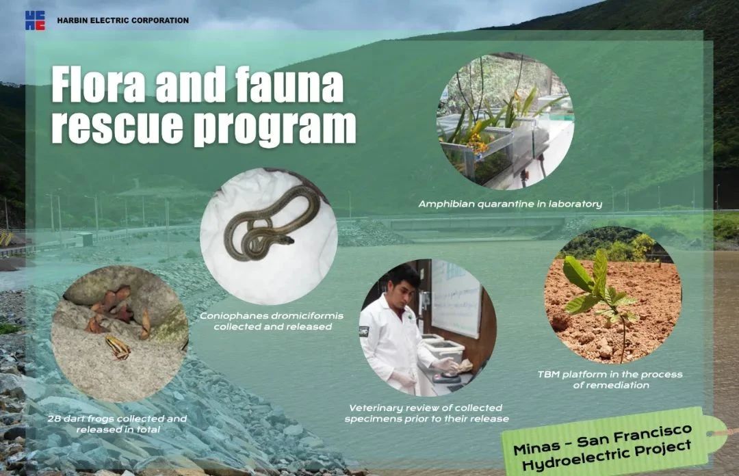 万利官网(中国集团)唯一官方网站