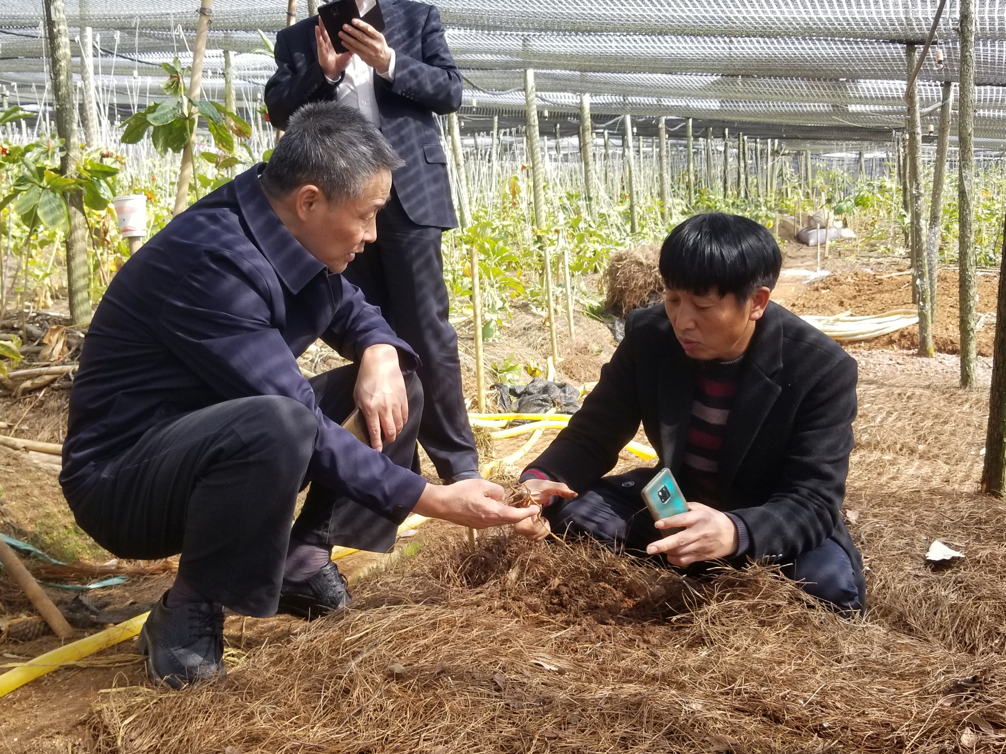 万利官网(中国集团)唯一官方网站