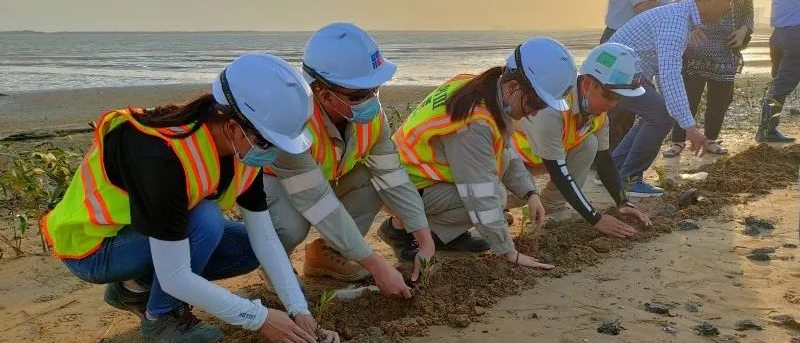 万利官网(中国集团)唯一官方网站