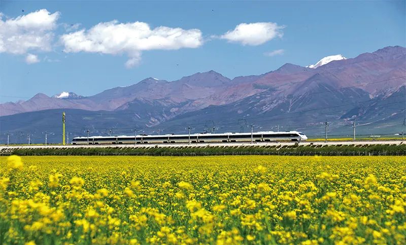 张玉卓、、、国资、、、央企、、、国资委、、、书记、、、主任、、、国企、、、企业刷新