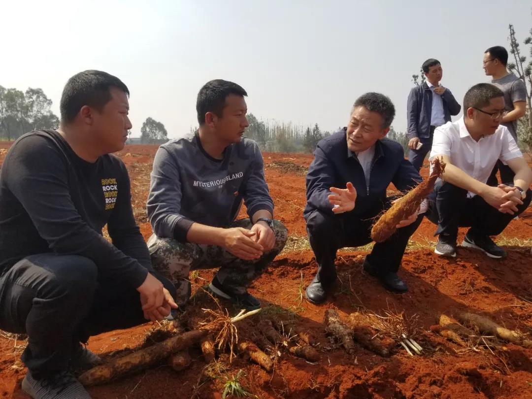 万利官网(中国集团)唯一官方网站