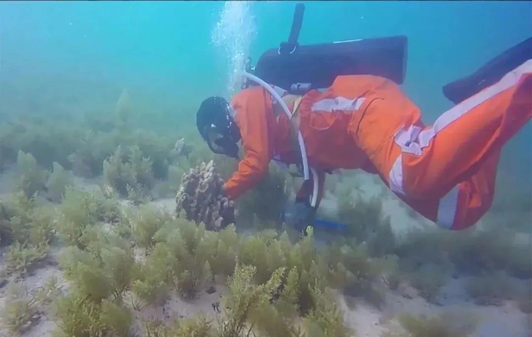 万利官网(中国集团)唯一官方网站